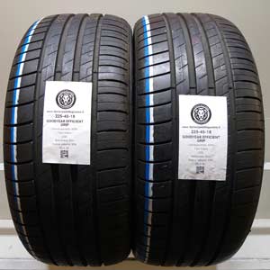 GOODYEAR EFFICIENTGRIP PERFORMANCE 225/445R18