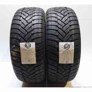 DUNLOP GRANDTREK WT M3 255/50R19